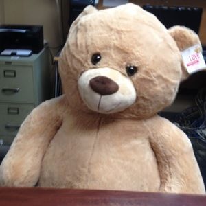 Meet your Posher, Michael